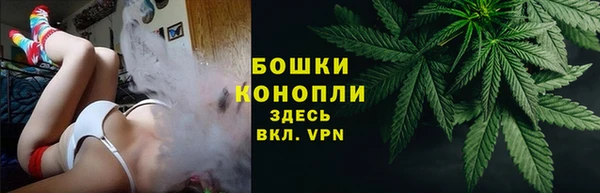 дживик Вязьма