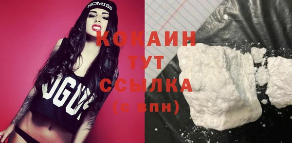 дживик Вязьма