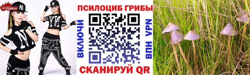 Купить где  Заринск  Псилоцибиновые грибы мицелий 